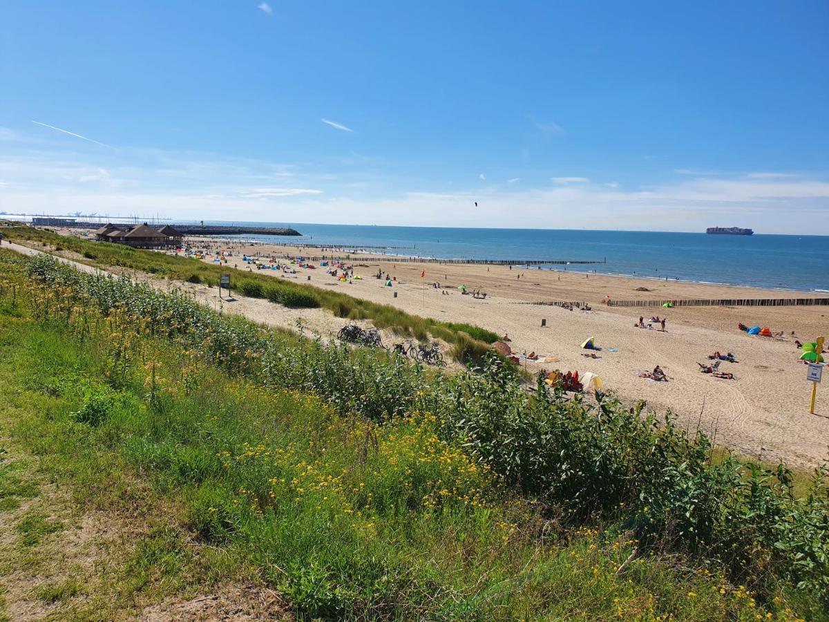 Le Normandy 5Star Apartman Cadzand Kültér fotó
